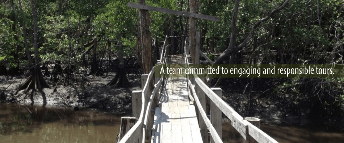 JC's Journeys - About Us