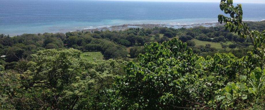 Green Season Costa Rica