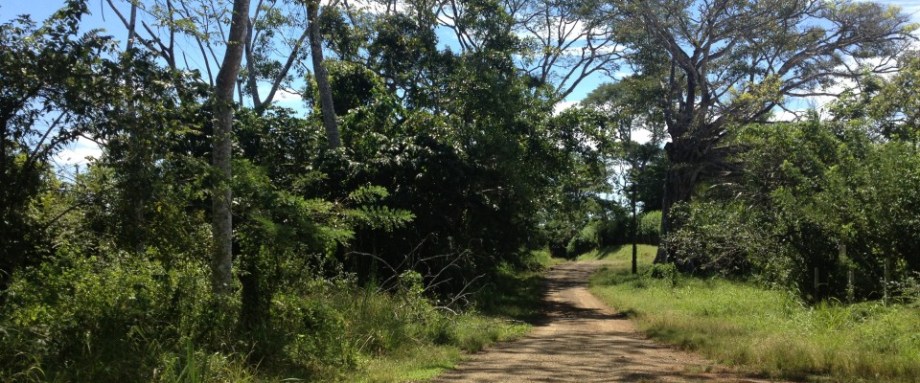 5 Reasons to Love Low Season