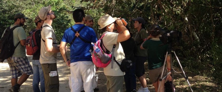 TamborBayBirders_BirdCount