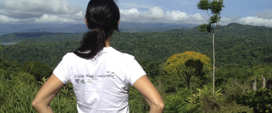 View Over Osa Peninsula
