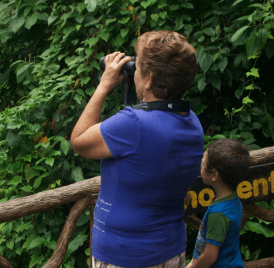 Birding in Montezuma Costa Rica - JC's Journeys